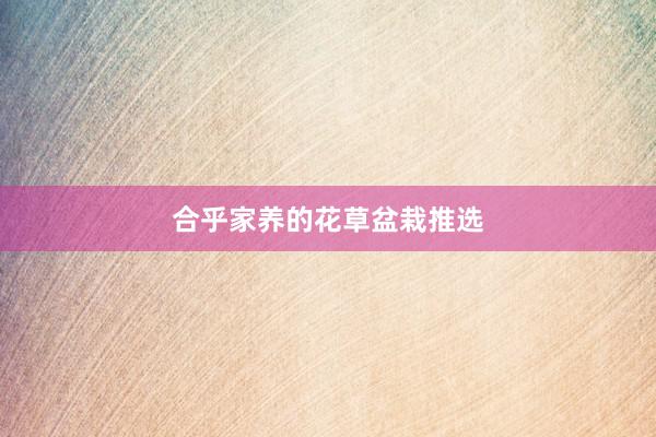 合乎家养的花草盆栽推选